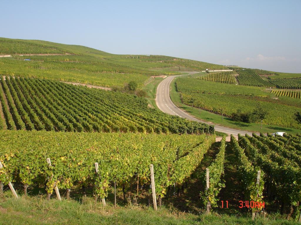 Gite Du Vigneron ทุร์กไกม์ ภายนอก รูปภาพ